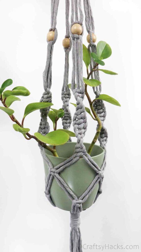 Macrame-Plant-Hanger