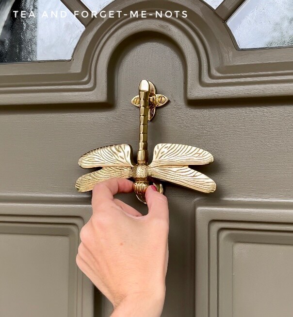 Dragonfly door knocker on painted door