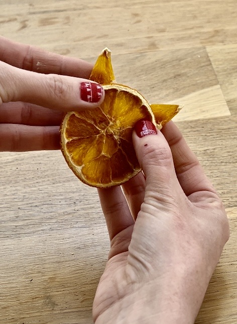 cut ears for fox orange slice decoration