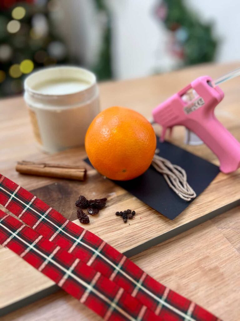 supplies to dehydrate and decorate orange slices