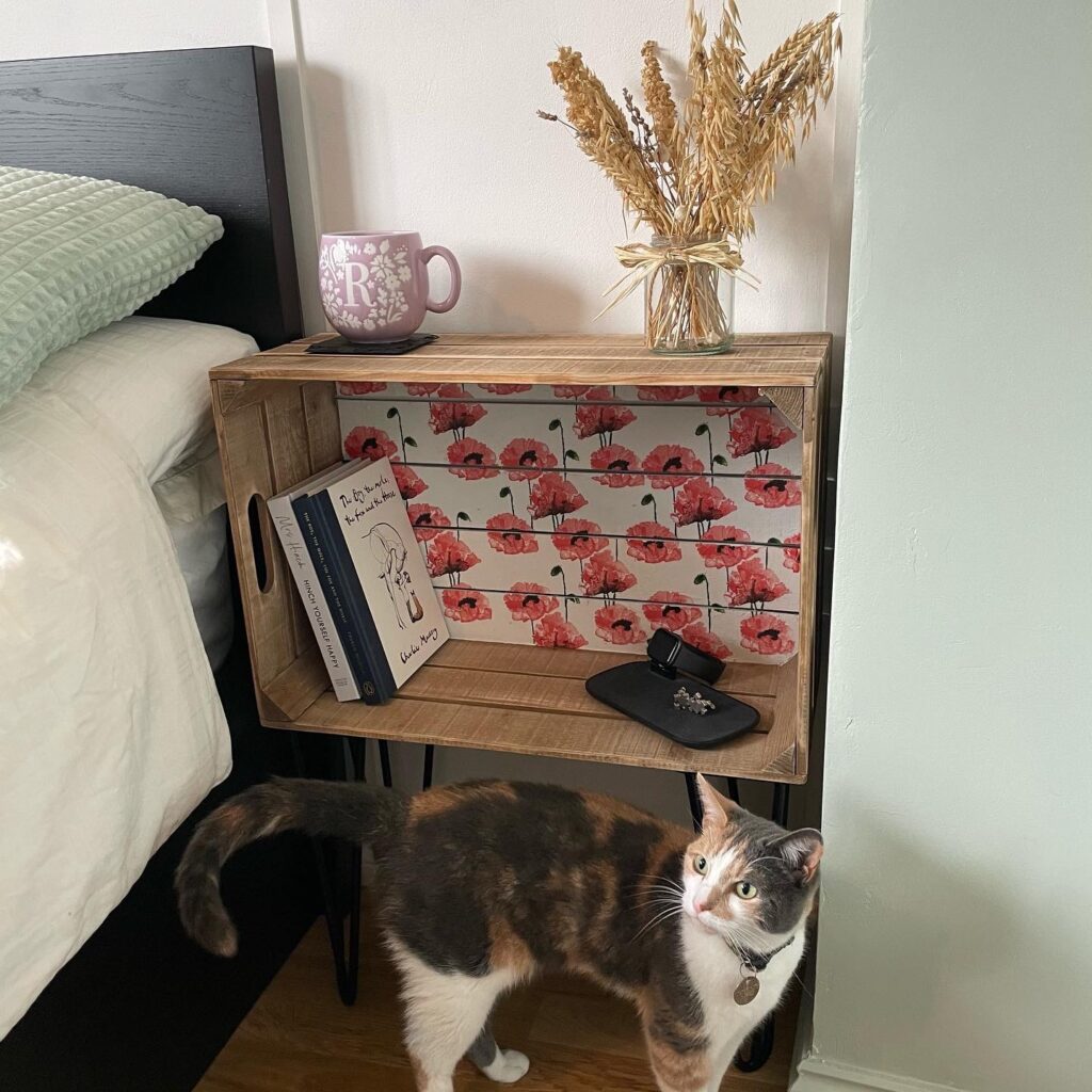 Finished decoupaged apple crate with cat