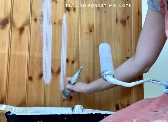 painting the back of the bookcase with a brush and roller