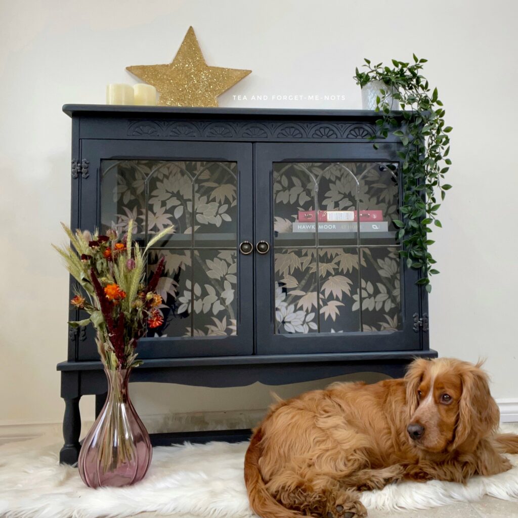 puzzle the dog in front of black cabinet.