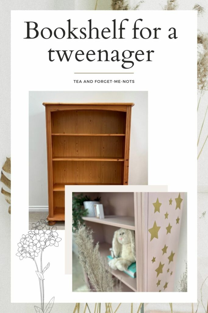 bookshelf for tweenager