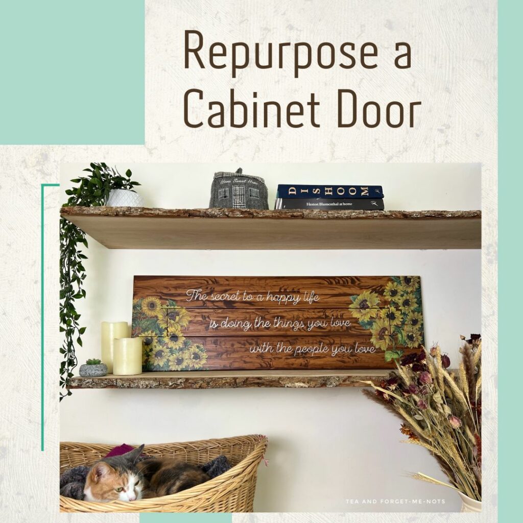 repurpose a cabinet door