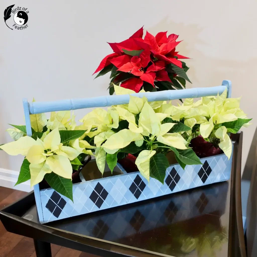 Tea Caddy as DIY Christmas coffee table decorations