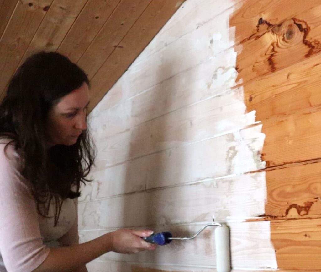 image shows painting the shed wall with white paint.