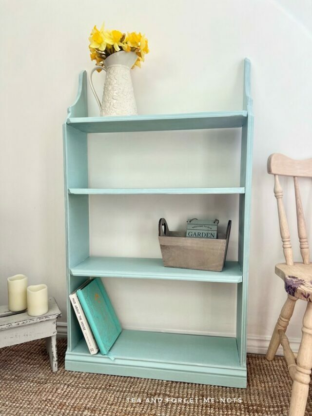 Chalk Painted Bookshelf with Raised Stencil