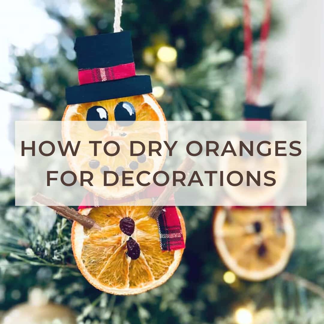 how to dry oranges for decorations post