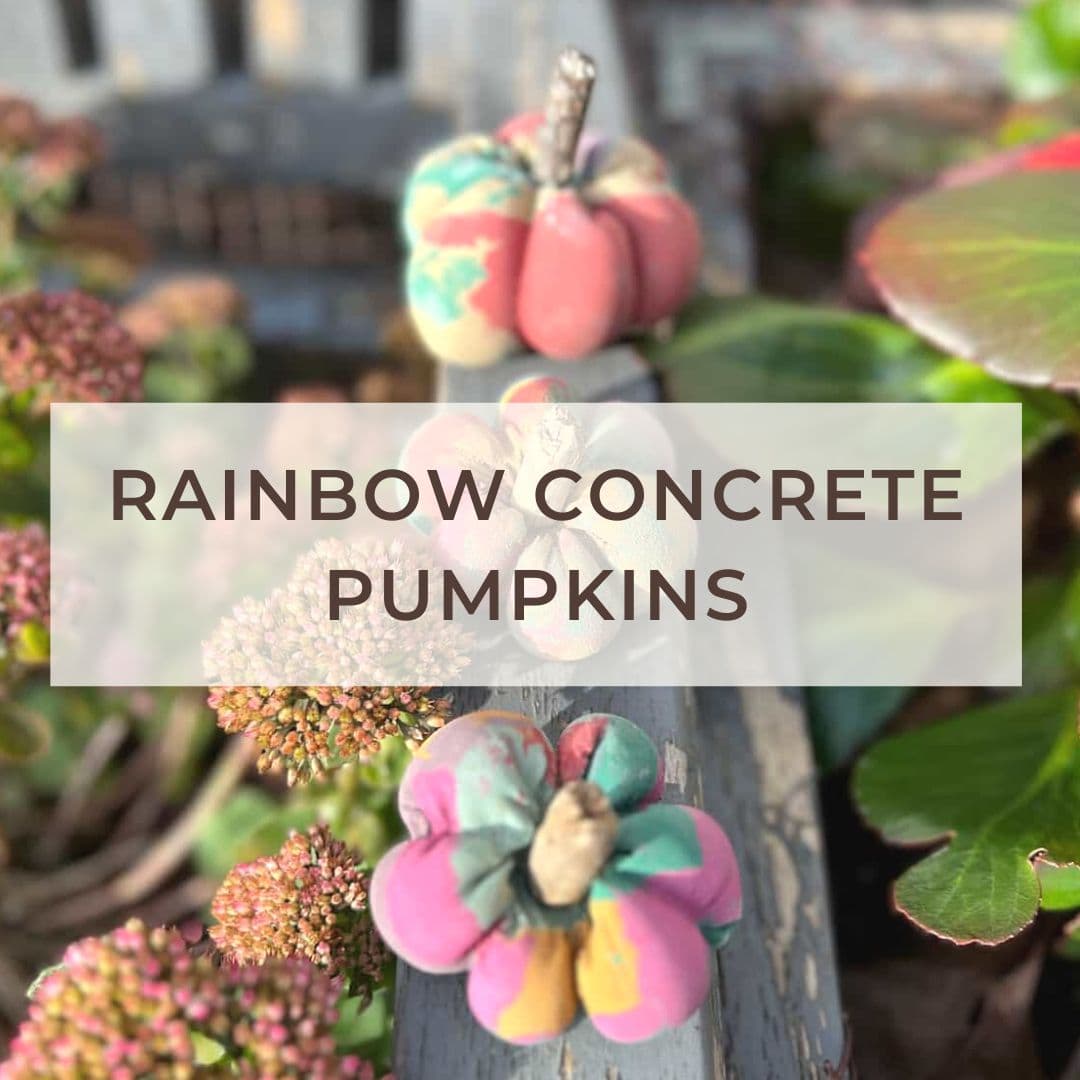 How To Make Cute Rainbow Concrete Pumpkin DIY Decor