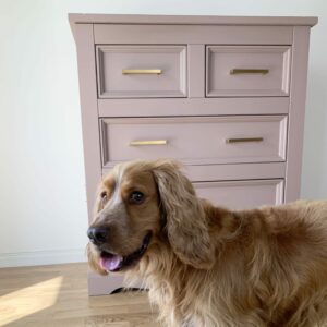 Finished pink chest of drawers photobombed by Puzzle the dog