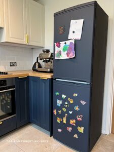 Finished successfully paint fridge back with animal magnets